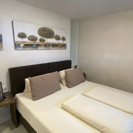 公寓 Ferienhaus2-soelden Mit Summercard *